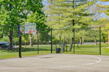 Basketball court